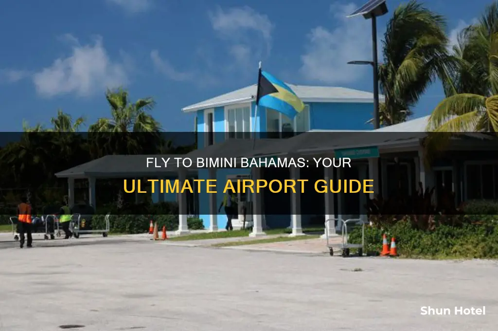 what airport do you fly into for bimini bahamas