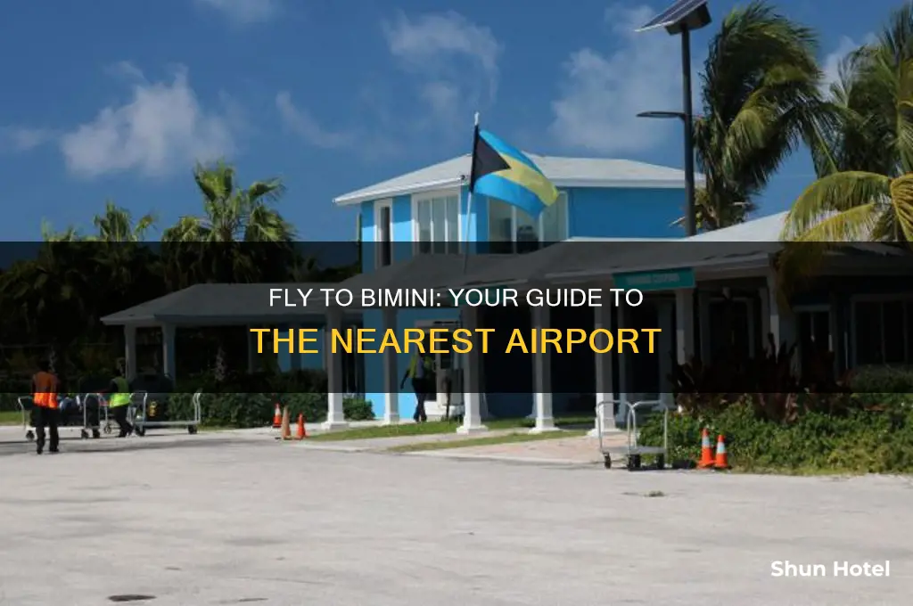what airport do you fly into for bimini
