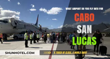 Best Airport for Cabo San Lucas: Your Ultimate Travel Guide