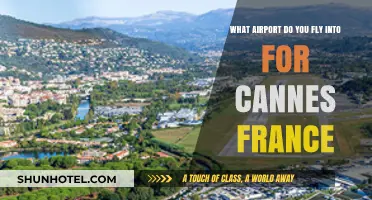 Fly into Cannes: Your Guide to the Nearest Airport