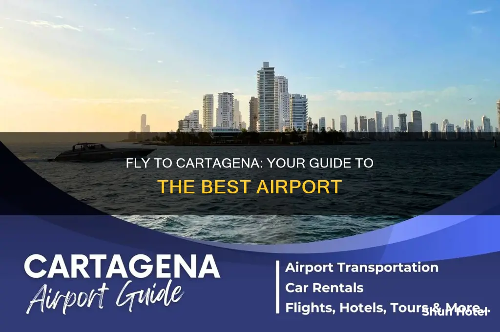 what airport do you fly into for cartagena