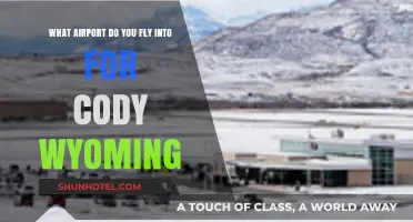 Best Airport Options for Traveling to Cody, Wyoming: A Guide