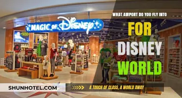 Best Orlando Airport for Disney World: Your Ultimate Travel Guide