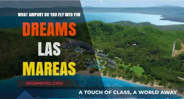 Flying to Dreams Las Mareas: Your Ultimate Airport Guide