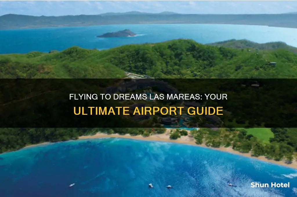 what airport do you fly into for dreams las mareas