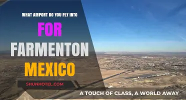 Fly into Farmington, Mexico: Your Ultimate Airport Guide