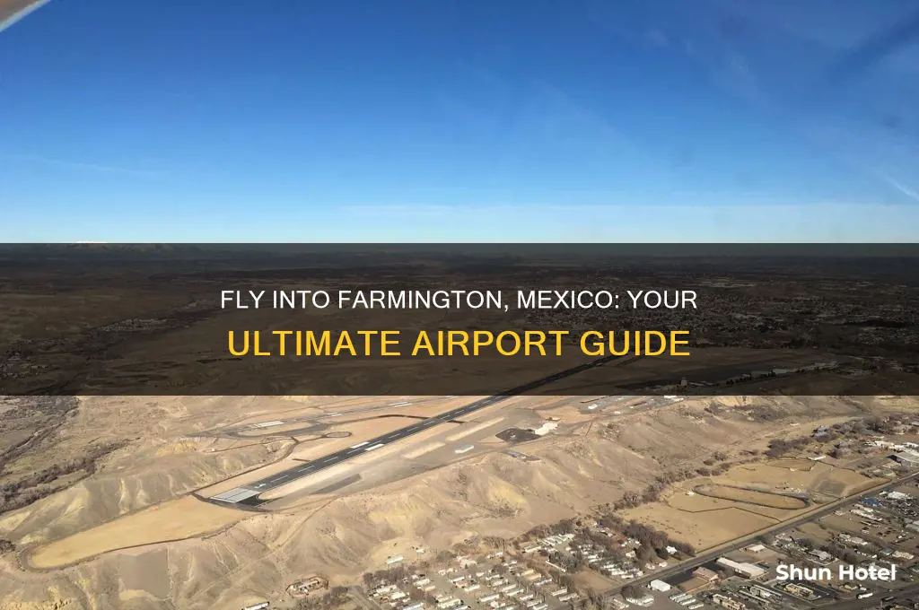what airport do you fly into for farmenton mexico