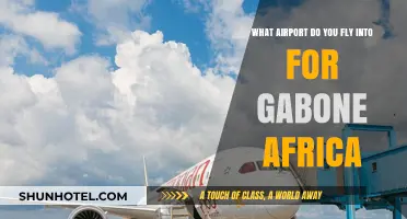 Flying to Gabon: Which Airport Serves as Your Gateway to Africa?
