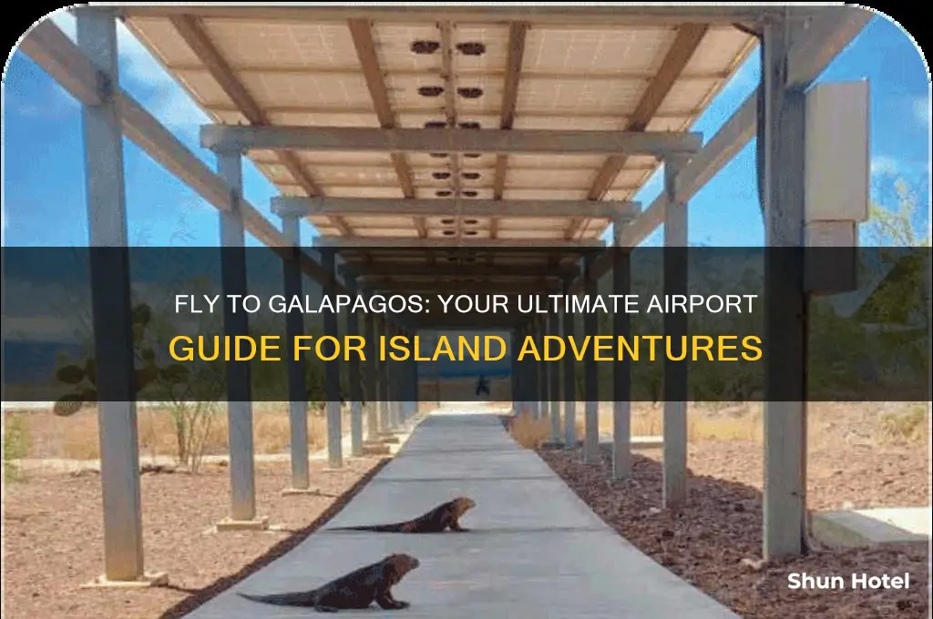 what airport do you fly into for galapagos islands