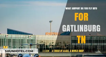 Fly into Knoxville's McGhee Tyson Airport for Gatlinburg, TN