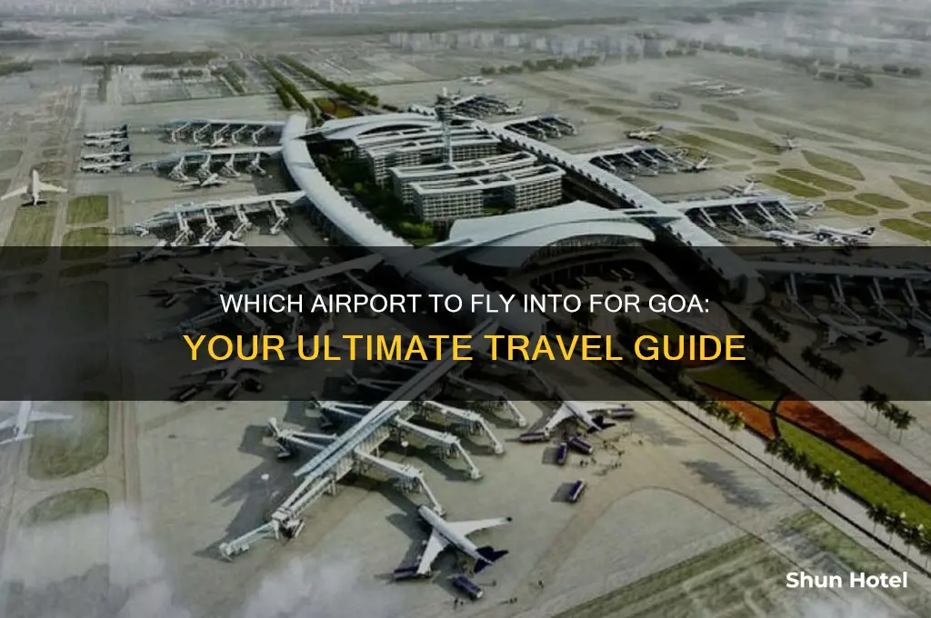 what airport do you fly into for goa