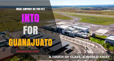 Flying to Guanajuato: Your Guide to the Nearest Airport