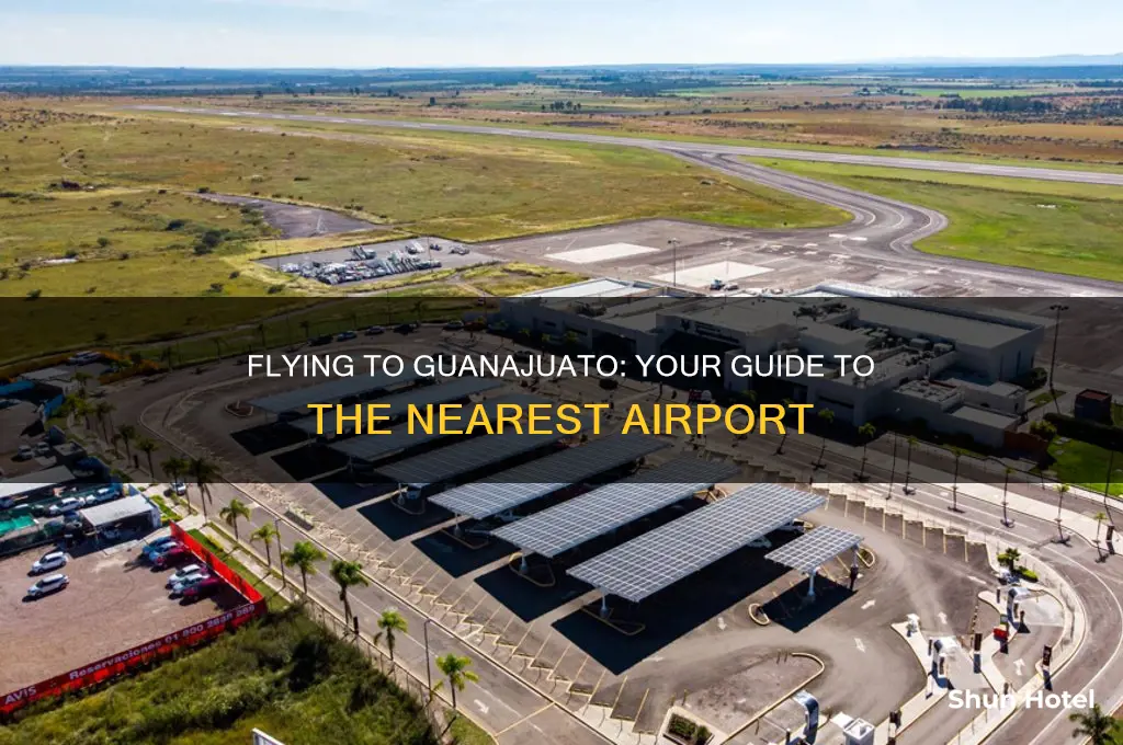 what airport do you fly into for guanajuato