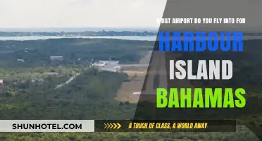 Fly into North Eleuthera Airport for Harbour Island, Bahamas