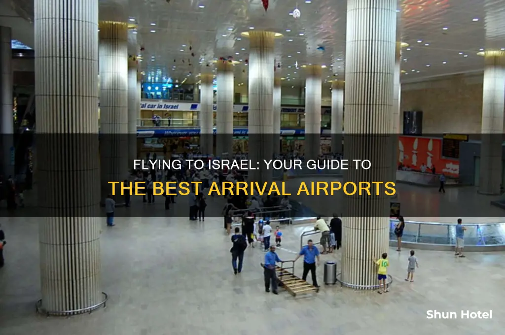 what airport do you fly into for israel