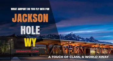 Fly into Jackson Hole WY: Your Ultimate Airport Guide