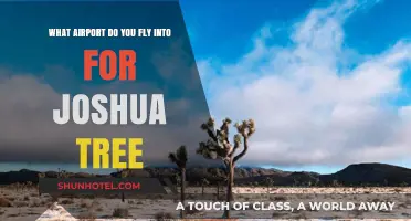Flying to Joshua Tree: Your Ultimate Airport Guide for Easy Access