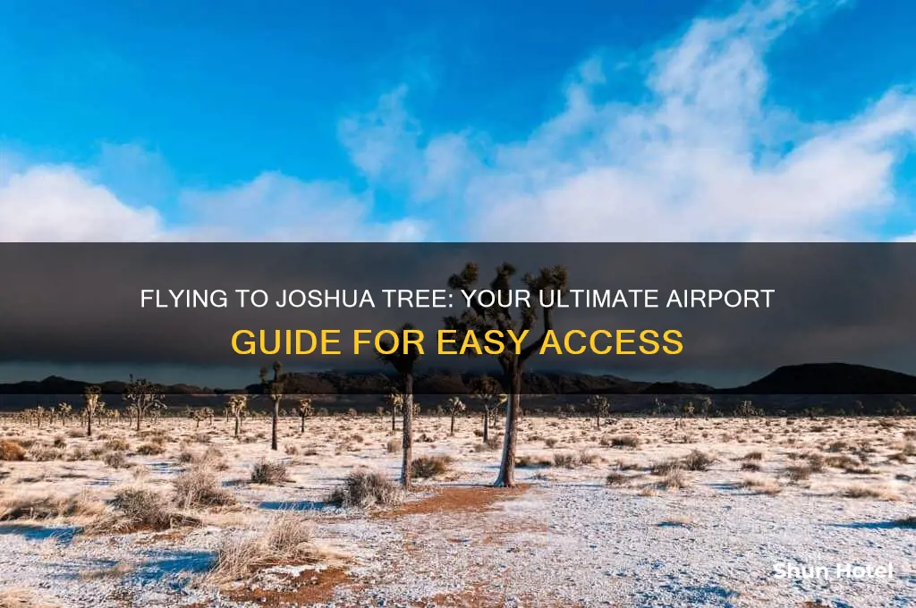 what airport do you fly into for joshua tree