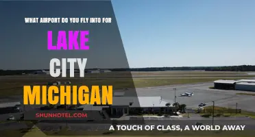 Fly into Lake City, Michigan: Your Airport Guide