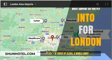 Which London Airport Should You Fly Into? A Comprehensive Guide