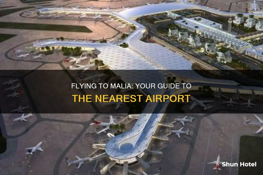 what airport do you fly into for malia