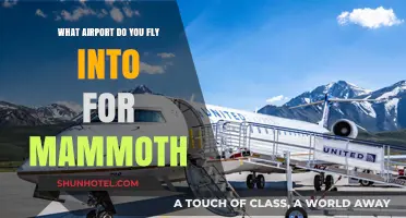 Flying to Mammoth: Your Guide to the Nearest Airport Options