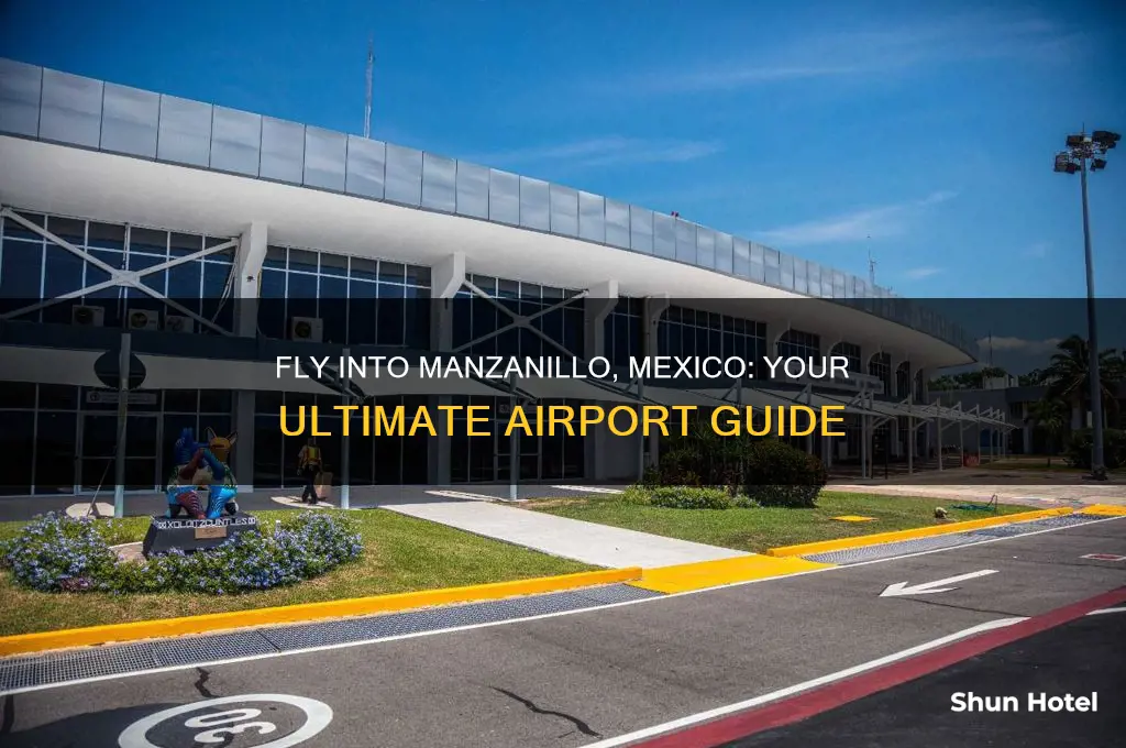 what airport do you fly into for manzanillo mexico