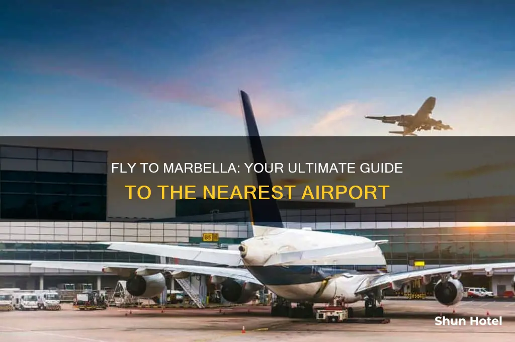 what airport do you fly into for marbella