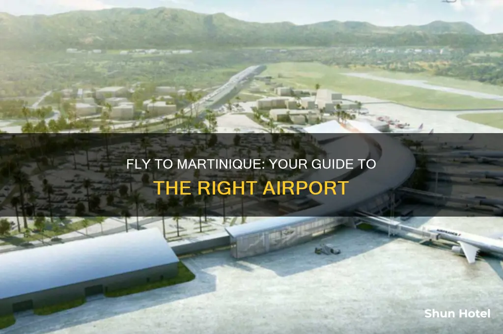 what airport do you fly into for martinique