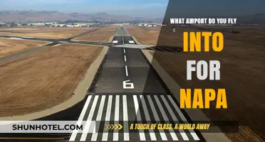 Flying to Napa Valley: Your Ultimate Airport Guide for Wine Country