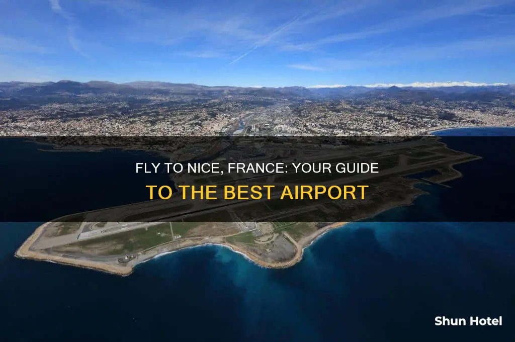 what airport do you fly into for nice france
