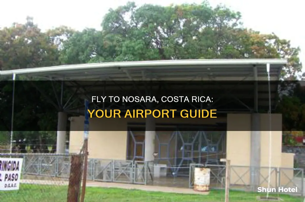 what airport do you fly into for nosara costa rica