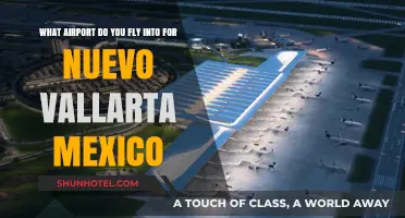 Fly into Nuevo Vallarta: Your Ultimate Airport Guide for Mexico