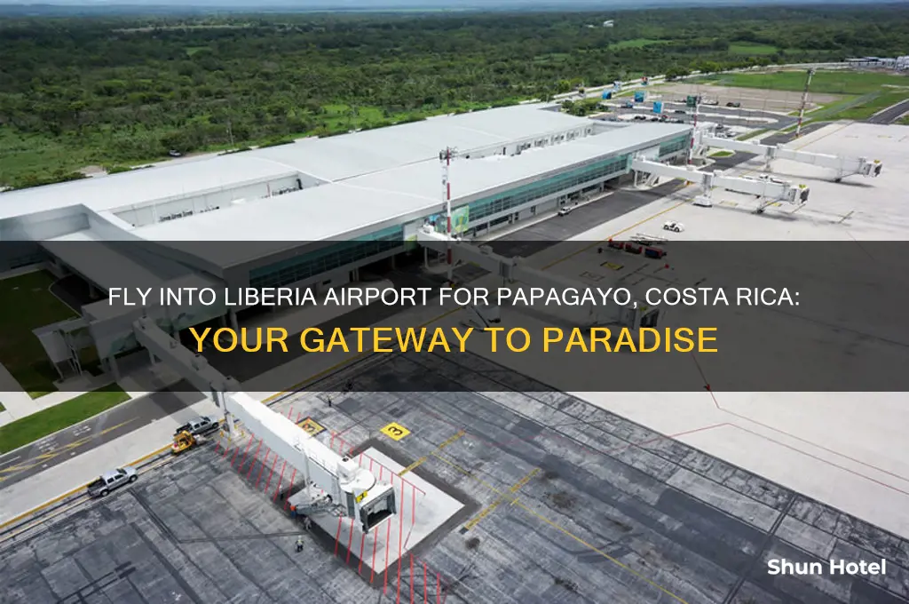 what airport do you fly into for papagayo costa rica
