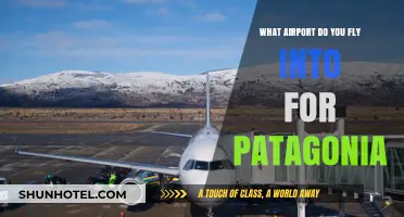 Best Airports to Fly into for Exploring Patagonia: A Comprehensive Guide