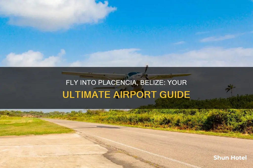 what airport do you fly into for placencia belize