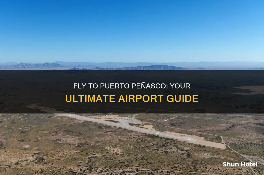 what airport do you fly into for puerto penasco