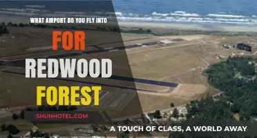 Best Airports for Visiting Redwood Forest: Your Ultimate Travel Guide