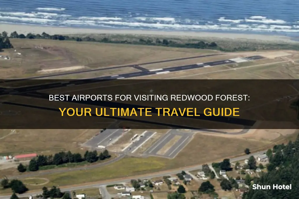 what airport do you fly into for redwood forest