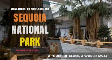 Fly into Sequoia: Your Guide to the Nearest Airport