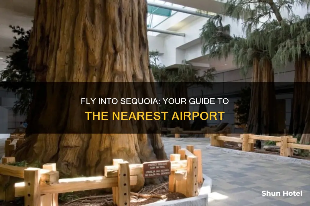 what airport do you fly into for sequoia national park