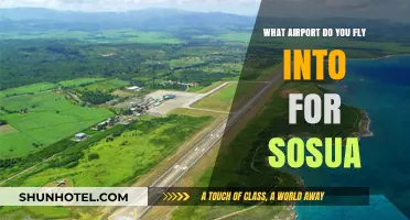 Which Airport Serves Sosua, Dominican Republic? Your Travel Guide