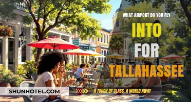 Fly into Tallahassee: Your Guide to the Nearest Airport