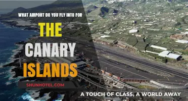 Your Guide to Flying into the Canary Islands: Top Airports
