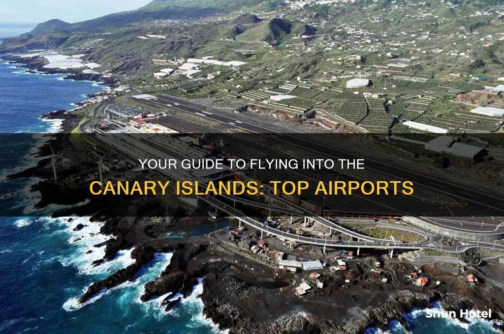what airport do you fly into for the canary islands
