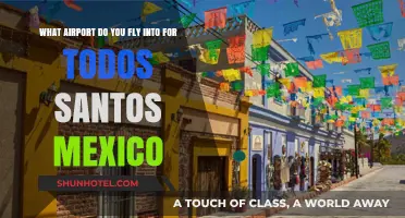 Fly to Todos Santos: Your Guide to the Nearest Mexico Airport