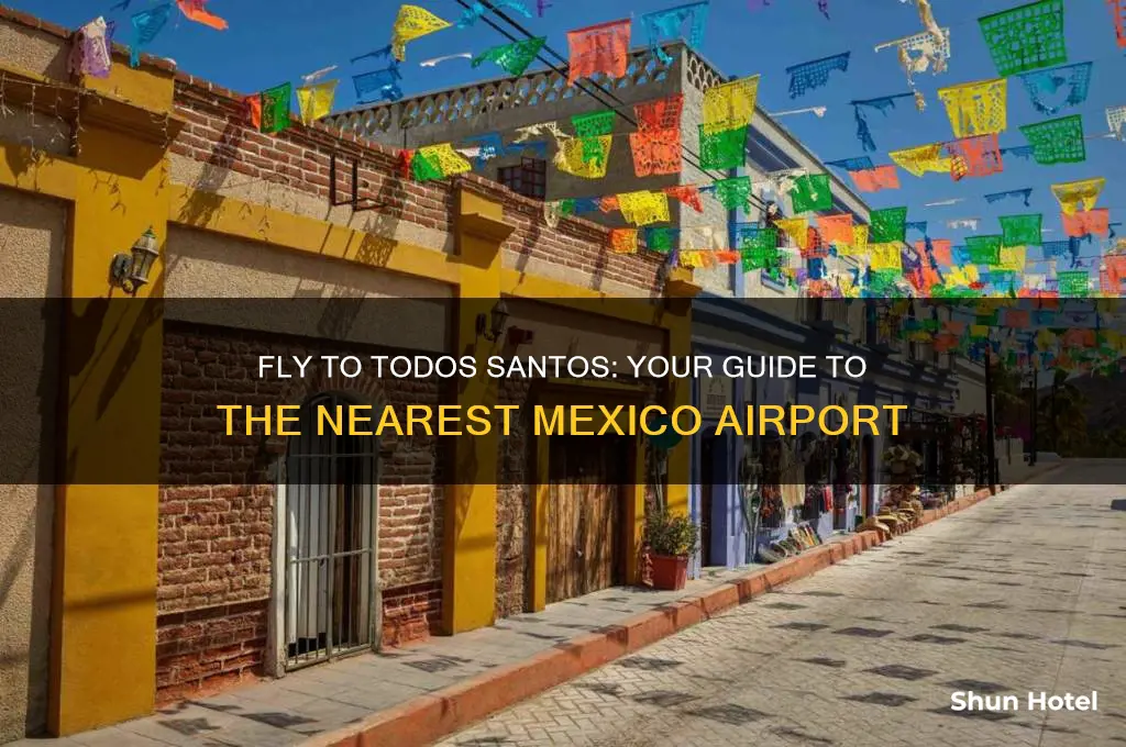 what airport do you fly into for todos santos mexico