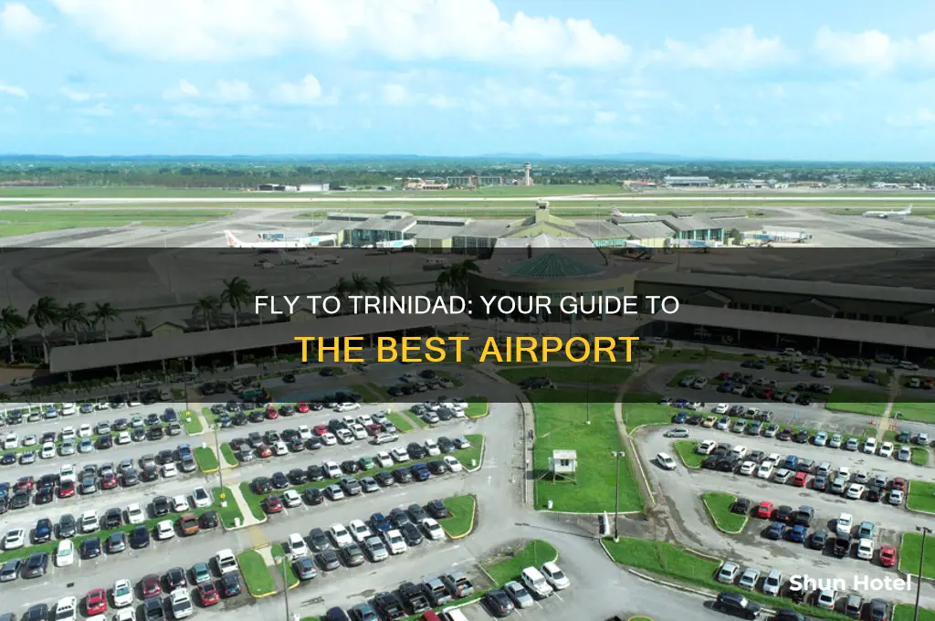what airport do you fly into for trinidad