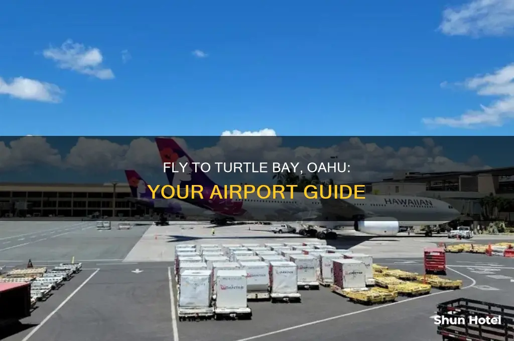 what airport do you fly into for turtle bay oahu