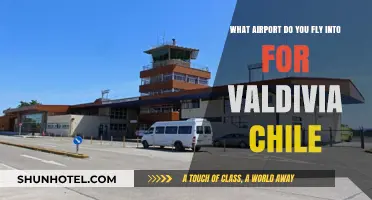 Flying to Valdivia, Chile: Your Essential Airport Guide